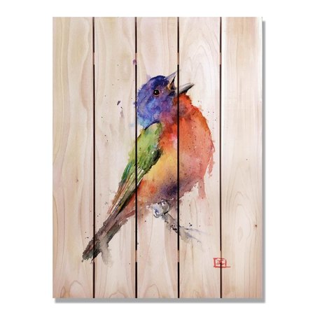 RICKI&APOSS RUGS 28 x 36 in. Crousers Painted Bunting Inside & Outside Cedar Wall Art RI890964